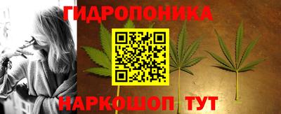ПСИЛОЦИБИНОВЫЕ ГРИБЫ Северобайкальск