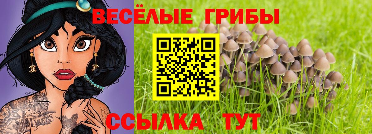 Бийск  Галлюциногенные грибы GOLDEN TEACHER  Вход с VPN 